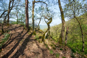 Wanderpfad verläuft nahe am Abgrund entlang Wanderpfad verläuft nahe am Abgrund entlang